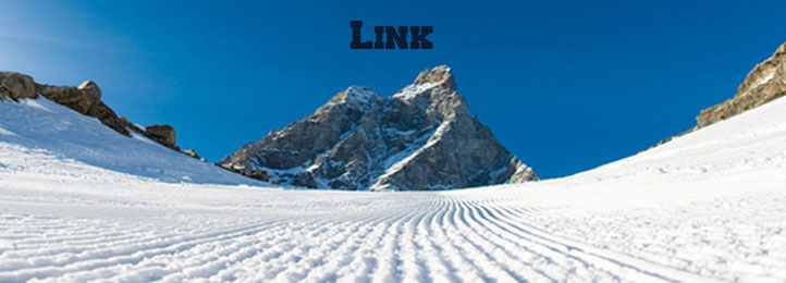 Link